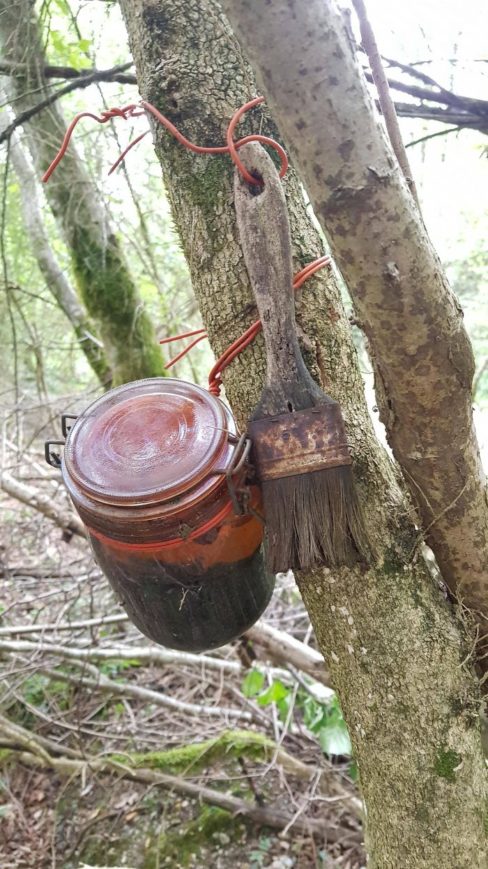 Found This Jar Filled With Red Liquid, Tied To A Tree In The Woods In France, What Is It Used For?