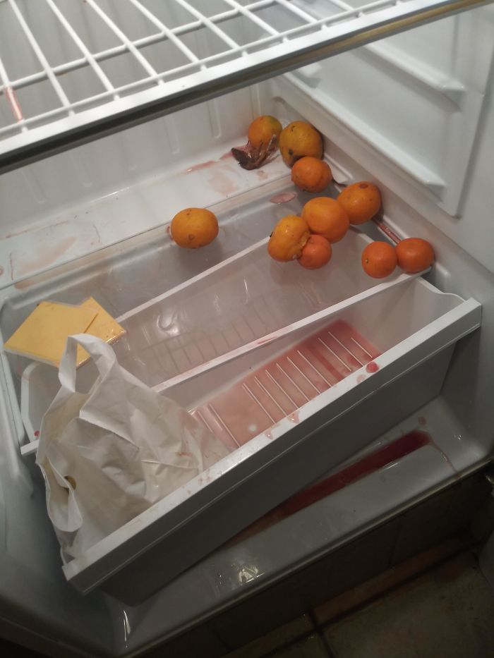 I Work As A Housekeeper At A Hotel. Had To Clean This Fridge Yesterday