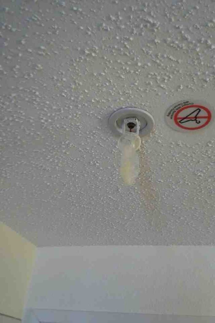 My Girlfriend Works At A Hotel. This Is What One Of The Maintenance Employees Found Hanging From One Rooms Sprinkler
