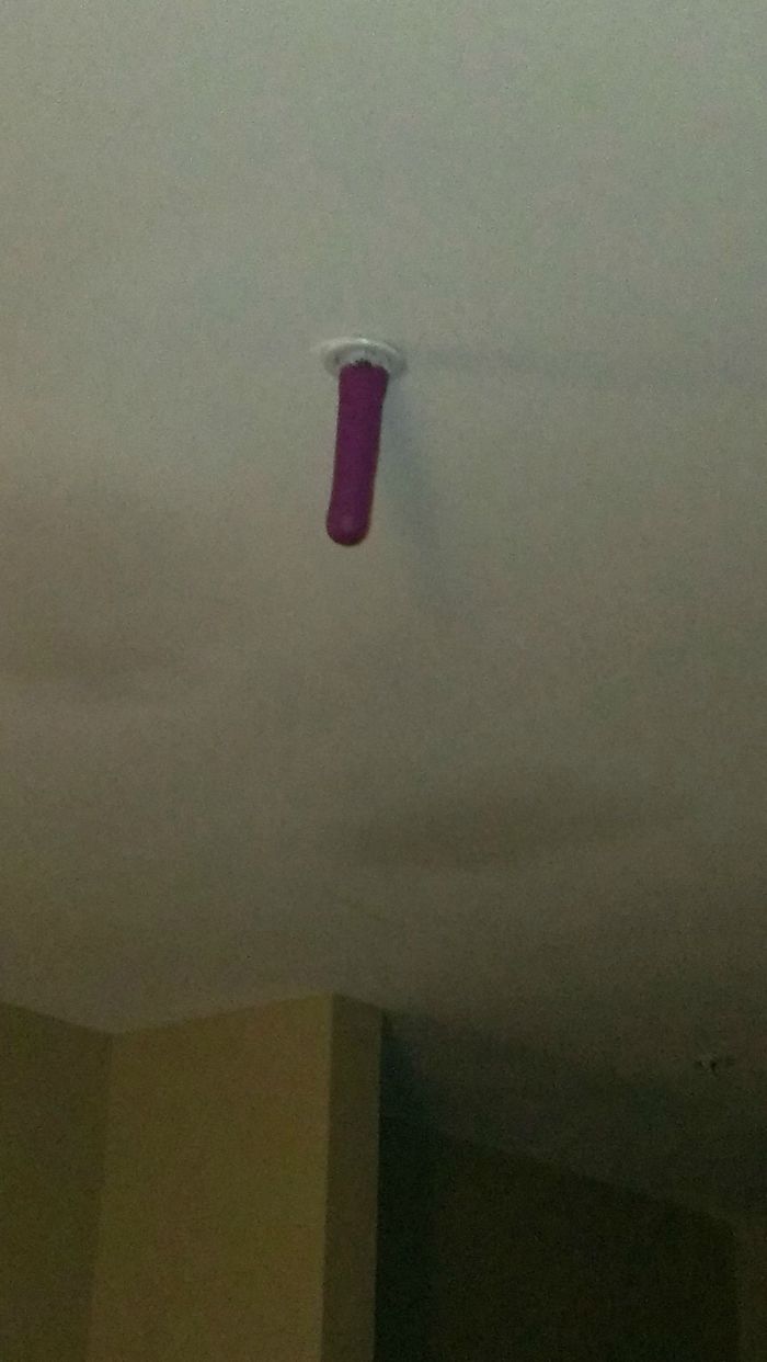 Walked Into My Hotel, And There Happened To Be A Weird Toy Hanging From The Sprinkler