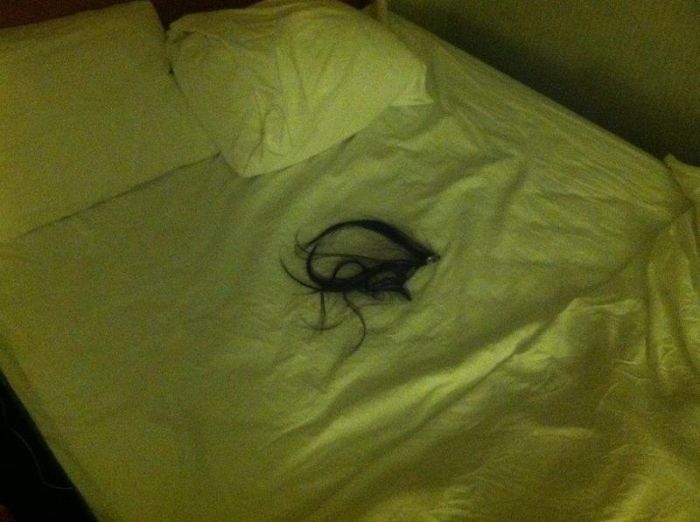 Found This Under The Sheets While Crawling Into Bed... Used Hair Extensions?