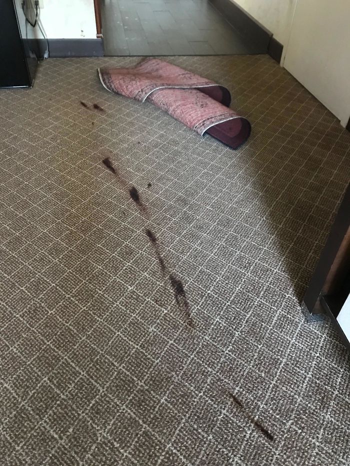 Really Regretting Looking Under The "Accent Rug" In The Hotel Room I've Been Staying At For The Last Week
