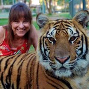 marcia_pedrick avatar