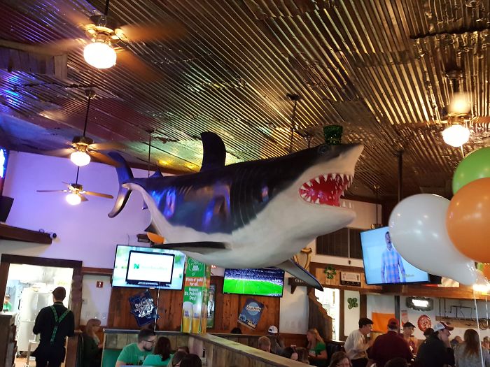 Rather Than Removing The Shark Left Behind By Joe's Crab Shack, The New Irish Restaurant Decided To Give Him A Leprechaun's Hat Instead