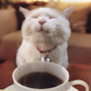 coffeesplash avatar