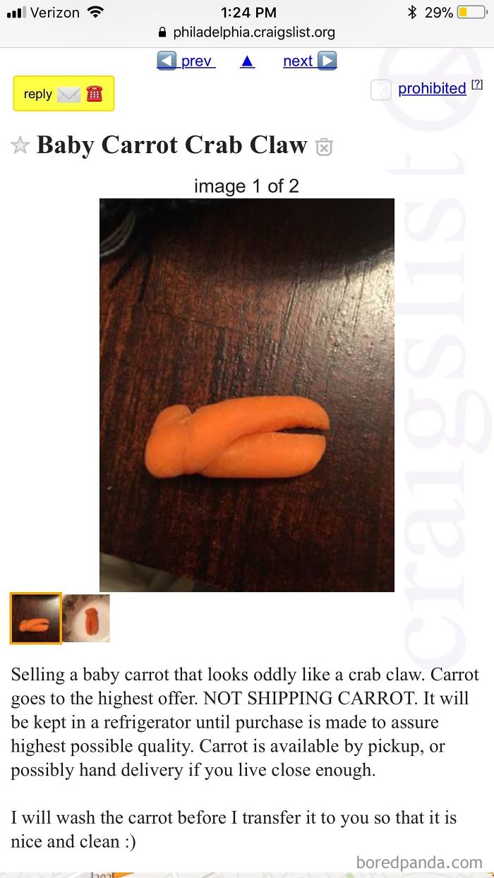 No Shipping Carrot