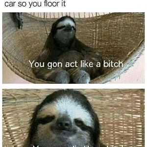 madscientisthw avatar