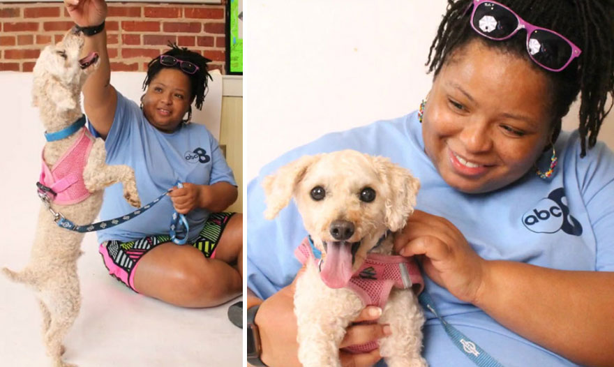 Dog Lives Under A Bed For Two Years, But Is Saved And Gets Life-Changing Makeover (7 Pics)