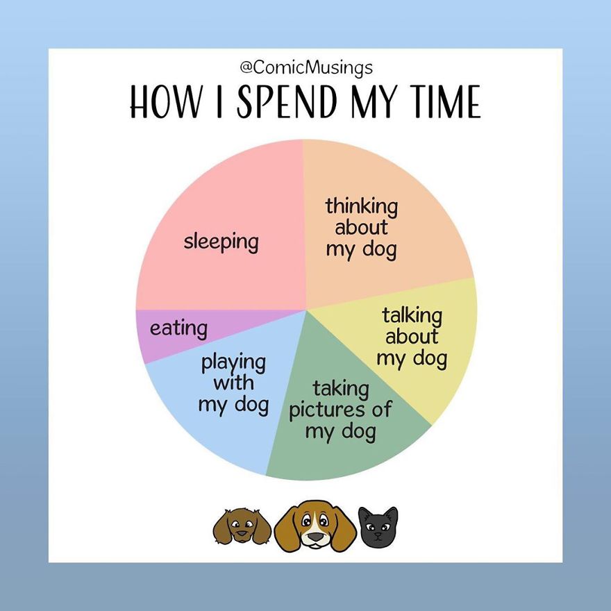 A Very Accurate Pie Chart Of How I Spend My Time