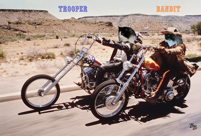 Brother & Sister From Easy Rider