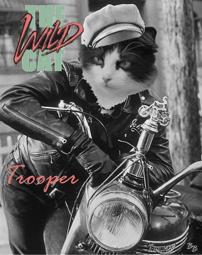 Trooper As Brando In The Wild One