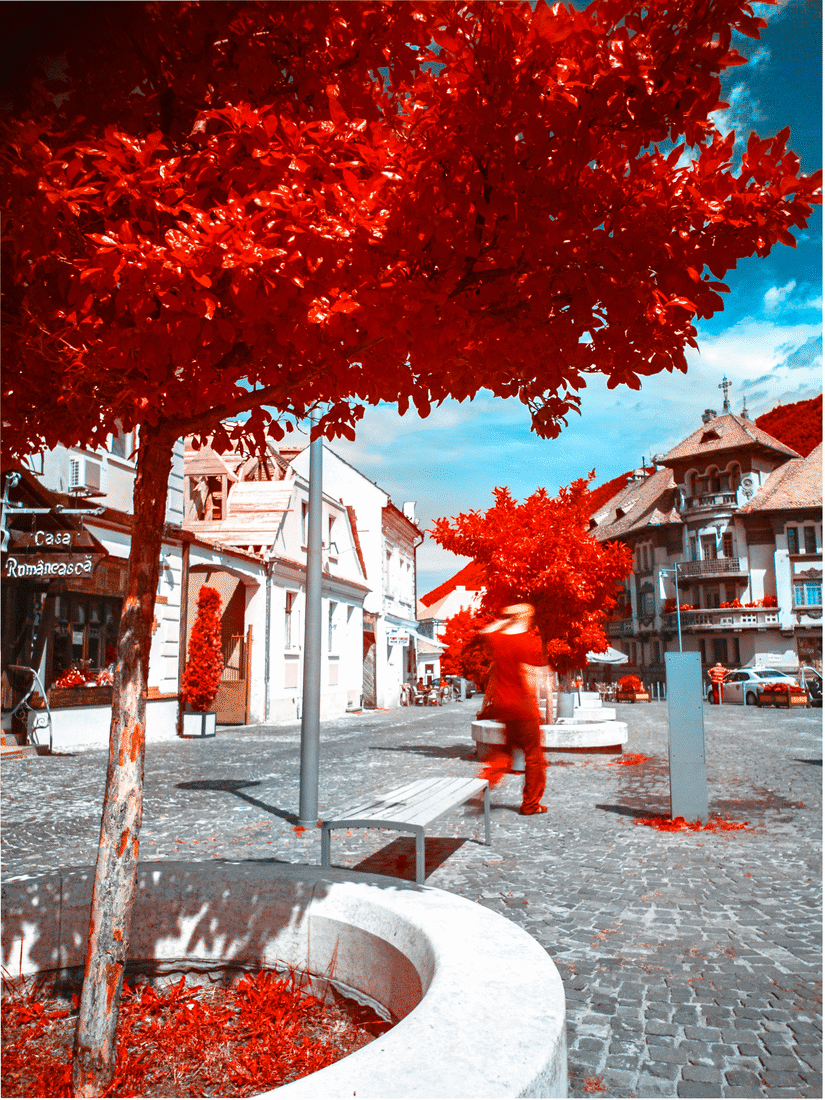 Romanian Photographer Creates Spectacular Infrared Photography With A Phone