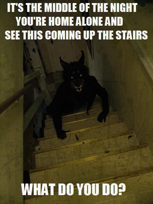 Werewolf-on-stairs-meme-5d67846592c8c.jpg