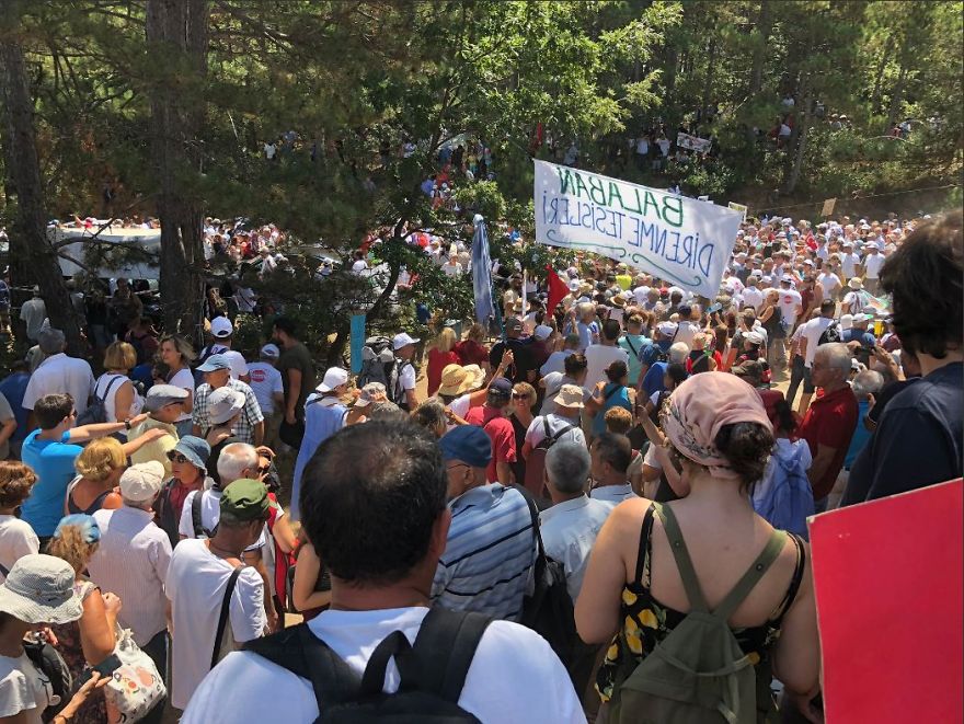 Thousands Of Trees Have Been Cut Down In Turkey Because Of A Gold Mine Project!