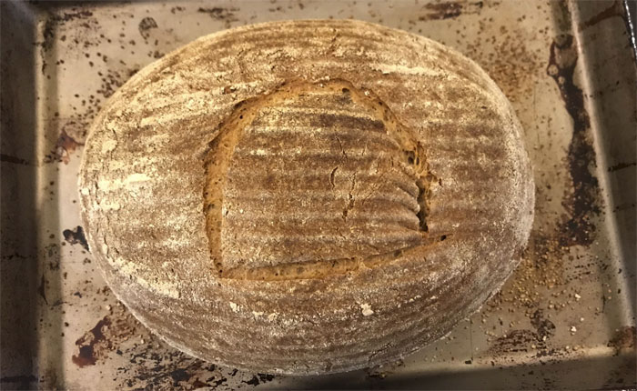 Scientist Bakes Bread From 4,500-Year-Old Yeast, Says The Flavor Is Incredible