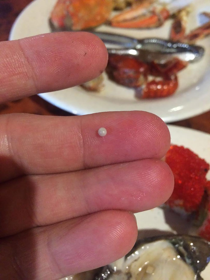This Pearl I Found In An Oyster I Was Eating