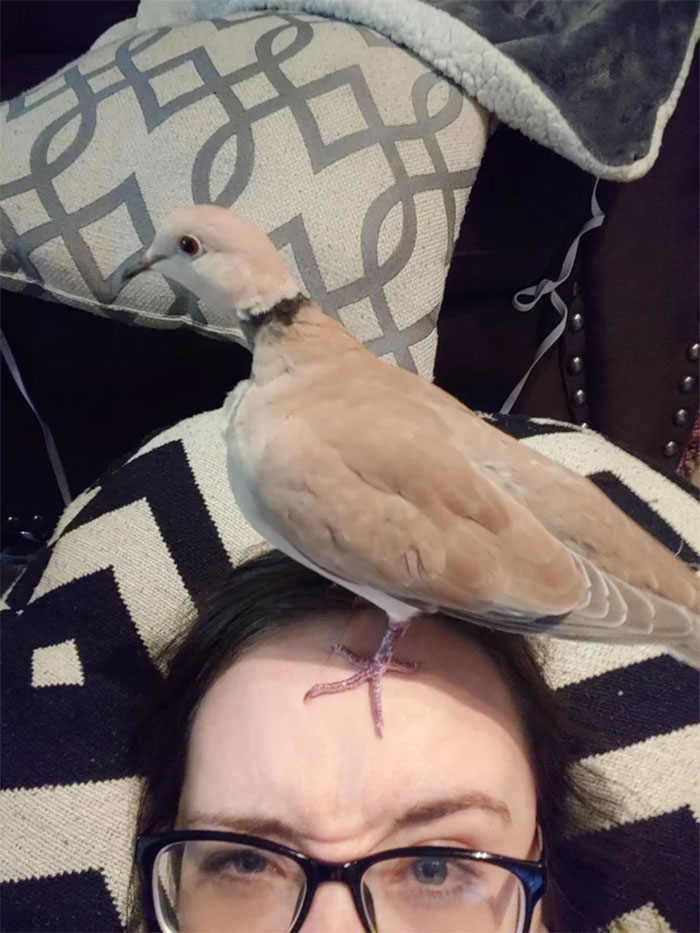 Must You Stand On My Forehead?
