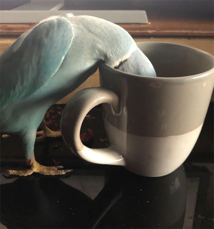 That’s Okay I Don’t Want The Rest Of My Tea ...