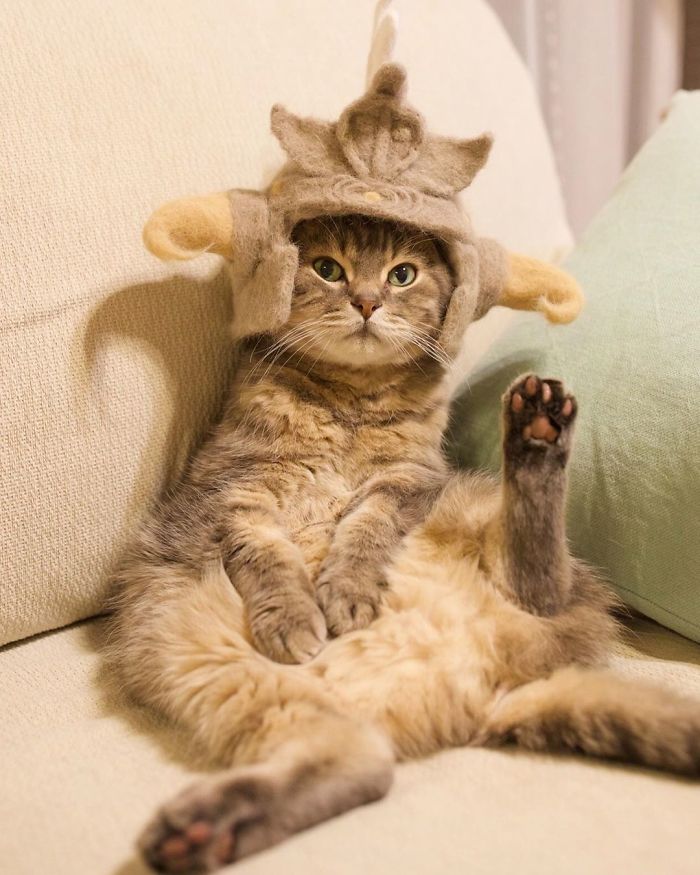 Cats-In-Hats-Made-From-Their-Own-Hair-Part-2