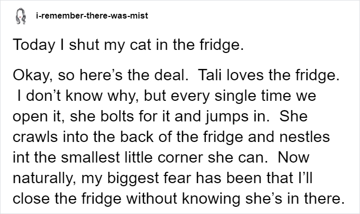 Owner Accidentally Locks Her Cat In The Fridge, Cat Acts Like Nothing Happened When Found Moments Later