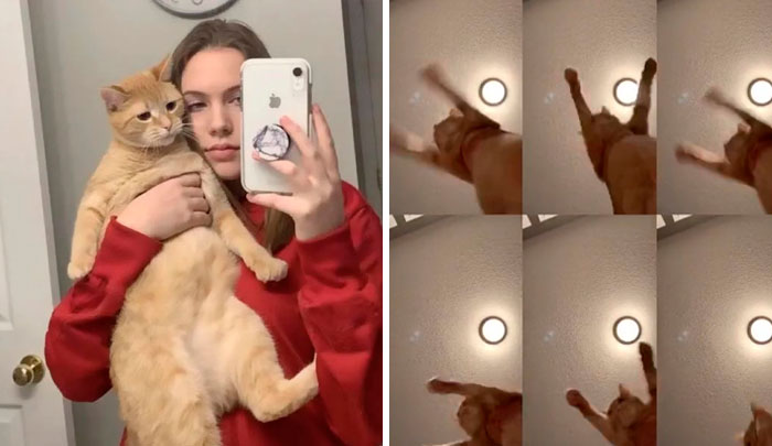 17-Year-Old Makes Hilarious TikTok Video Of Her Cat Dancing To “Mr. Sandman” And 1.5 Million People Love It