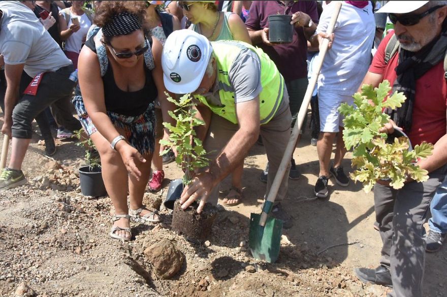 Thousands Of Trees Have Been Cut Down In Turkey Because Of A Gold Mine Project!