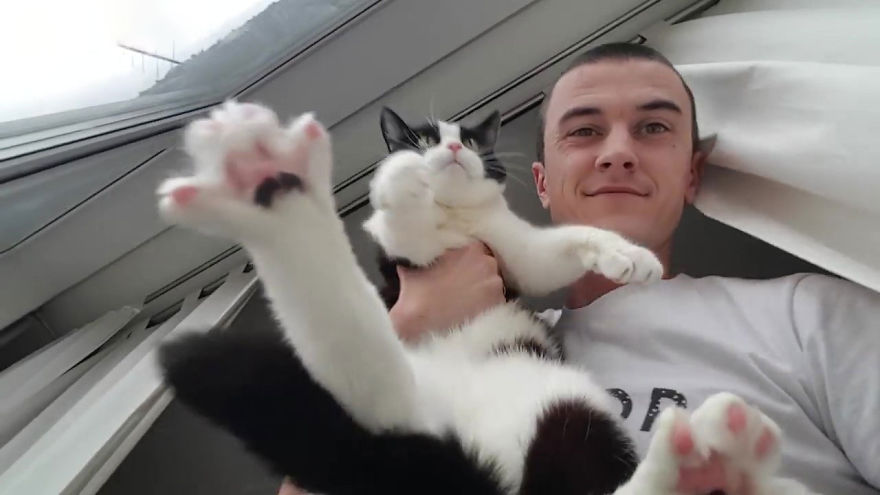 There's A Cat Selfie Device That Will Make Your Photos With Your Cat Simply Purrfect