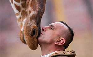 These Giraffes Have A Special Bond With Their Zookeeper And I Captured It In 10 Pics