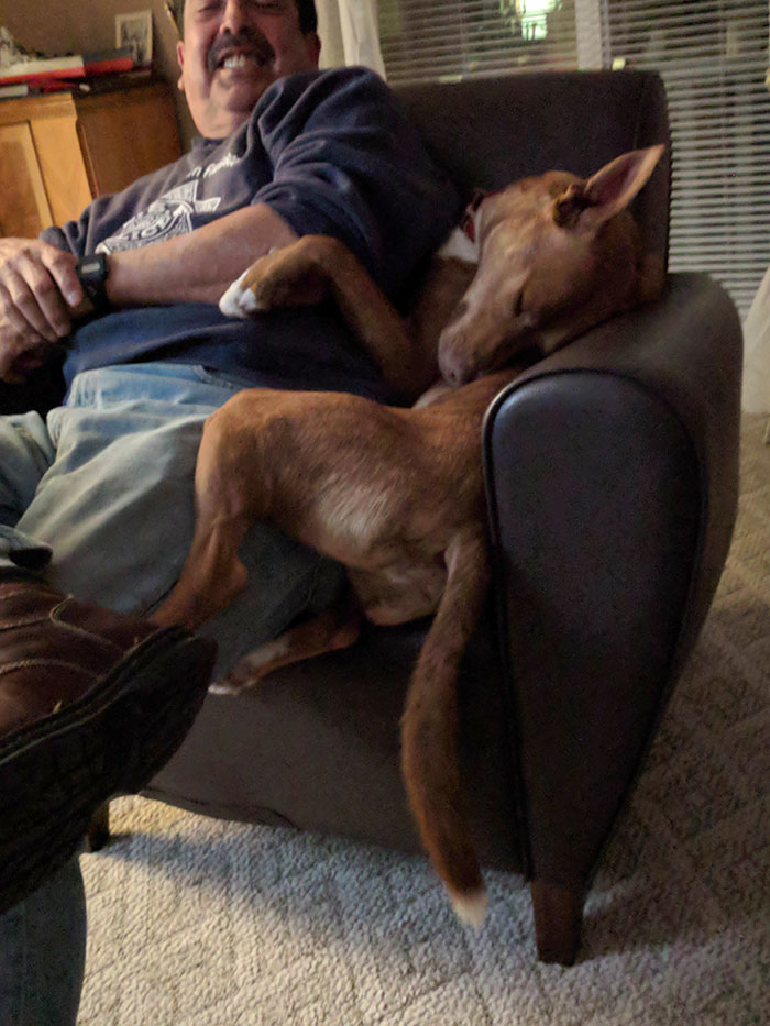 Churro Sleeps Wherever He "Fits"