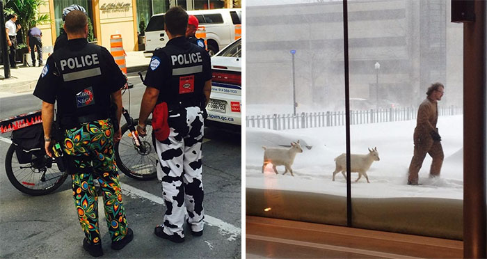 45 Funny Pictures That Perfectly Sum Up Canada