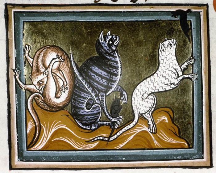 Funny-Medieval-Cats-Licking-Paintings