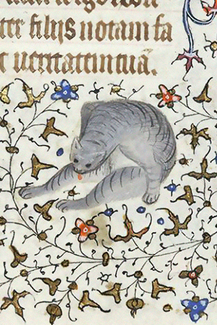 Funny-Medieval-Cats-Licking-Paintings