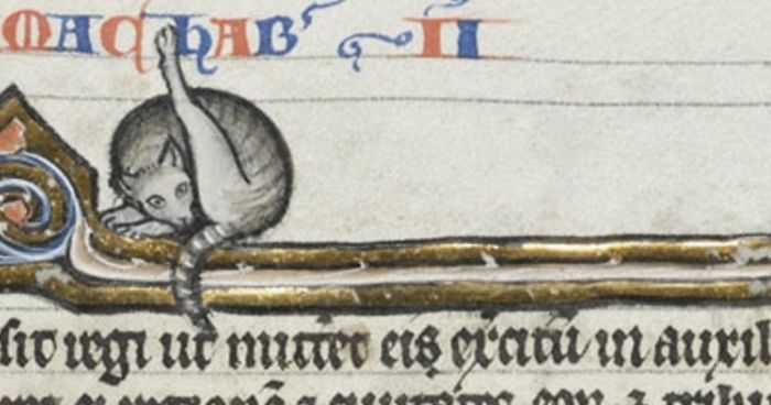 Apparently Medieval People Found Cats Licking Their Butts Fascinating And Here Are 14 Pics As Proof