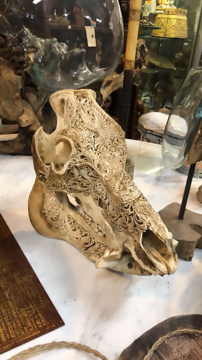 Really Beautiful And Intricately Carved Skull At Asiabarong Gallery, Great Barrington Ma