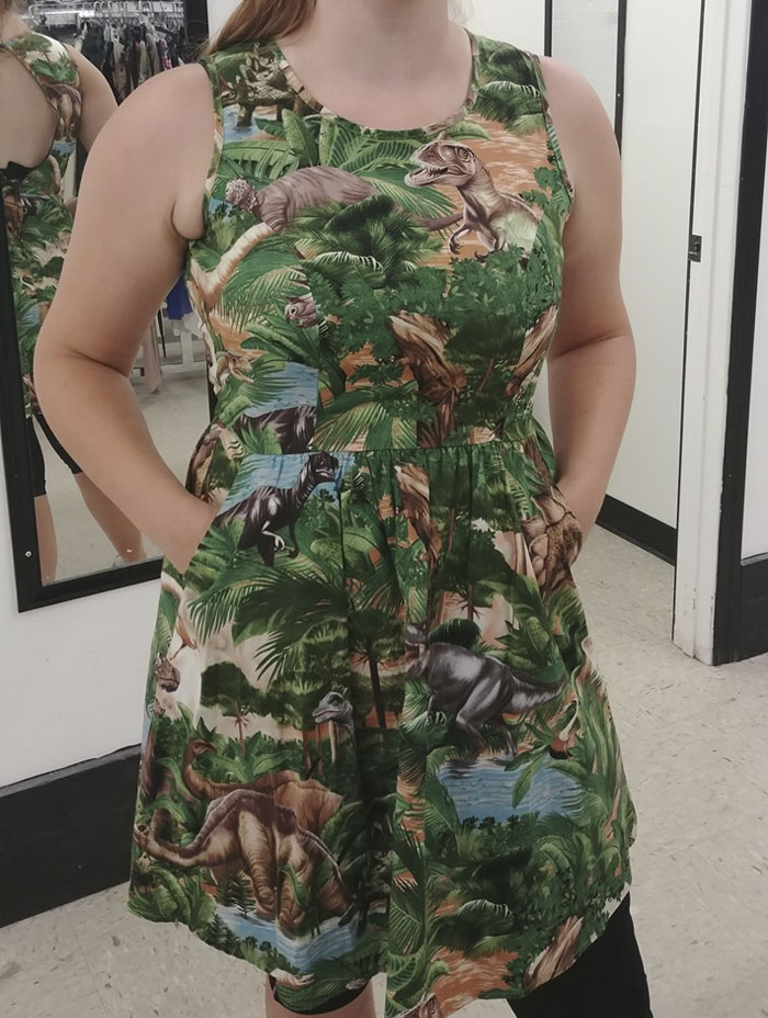 My Niece Found This Fabulous Dinosaur Dress At The Salvation Army Store Today. It Is So Cute On Her And It Did Go Home With Her