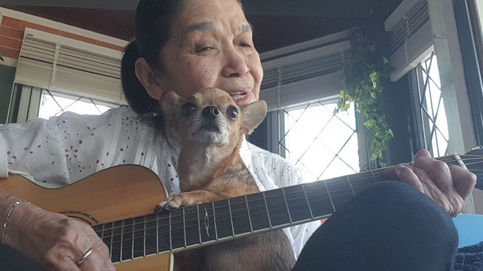 This Sleepiest Chihuahua Ever Can’t Handle Grandma’s Singing