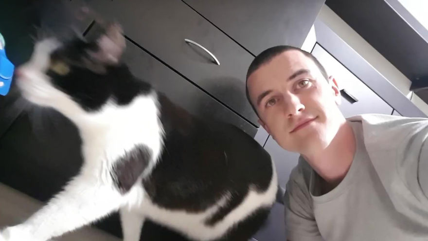 There's A Cat Selfie Device That Will Make Your Photos With Your Cat Simply Purrfect