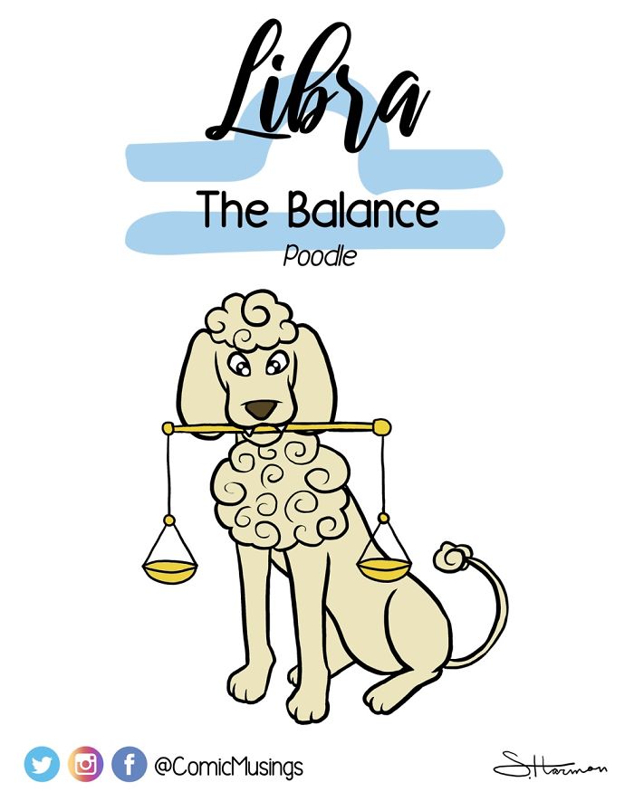 I Reimagined The Astrology Signs As Dogs