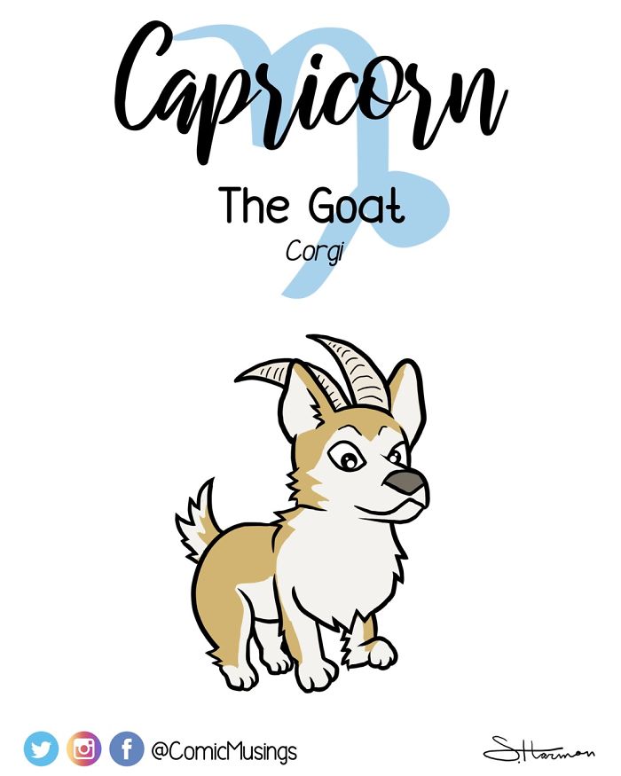 I Reimagined The Astrology Signs As Dogs