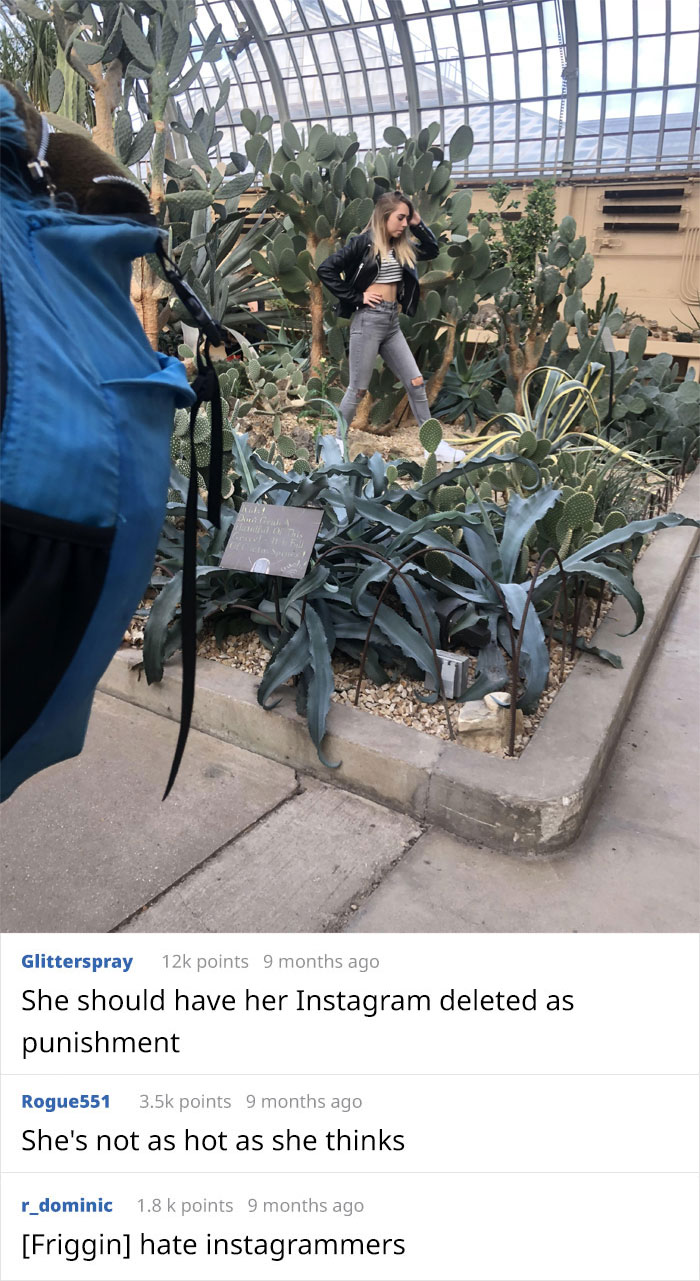Woman Stomped All Over The Plants In This Conservatory For Instagram Shots Despite Staff Repeatedly Asking Her To Stop