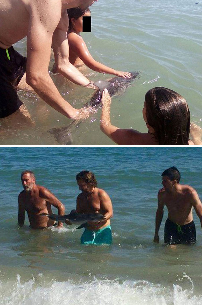 Esta cría de delfín murió en una playa española después de que los turistas se lo pasaran para hacerse una foto con él