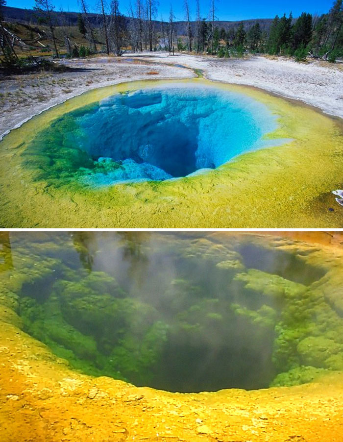 Yellowstone Hot Spring Turning Green Because Of Tourists Throwing In "Good Luck" Coins