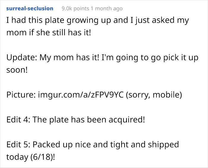 Girl Breaks The Only Plate Her Autistic Brother Eats Off Of, Asks For Help On Reddit And People Deliver