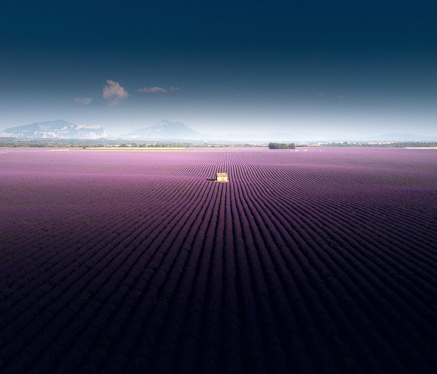 Breathtaking Aerial Photos Of A Lavender Field In Southern France By Samir Belhamra (12 Pics)