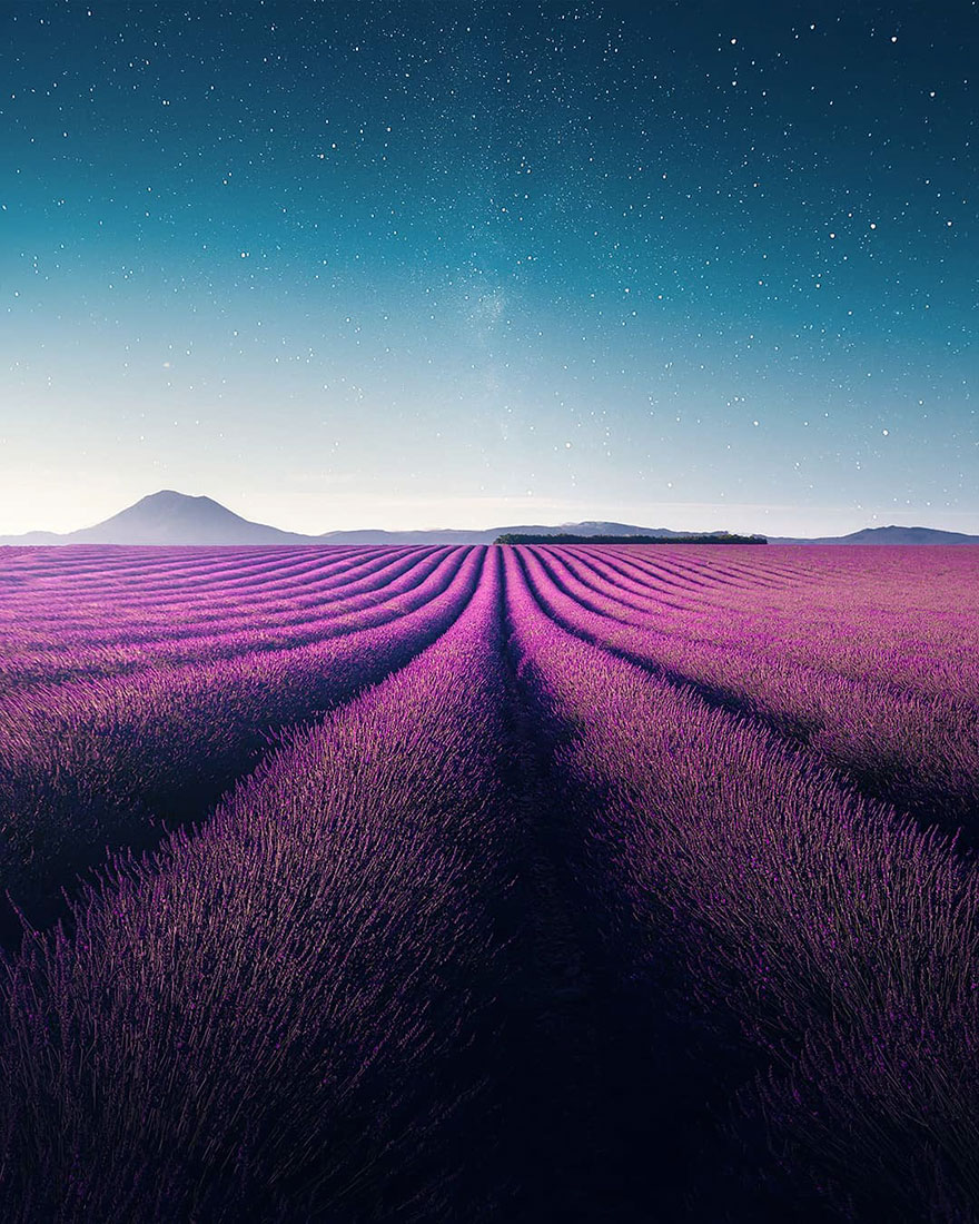 Breathtaking Aerial Photos Of A Lavender Field In Southern France By Samir Belhamra (12 Pics)
