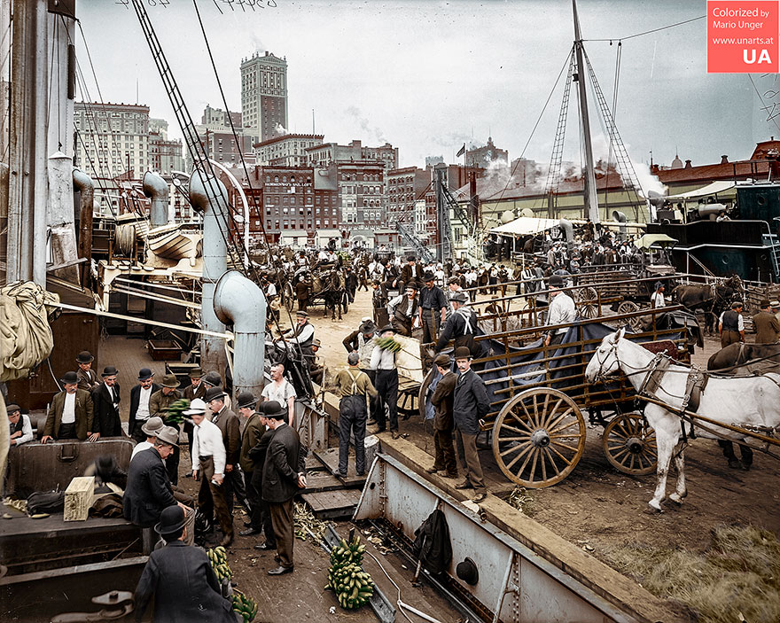 Banana Docks, NY, 1900