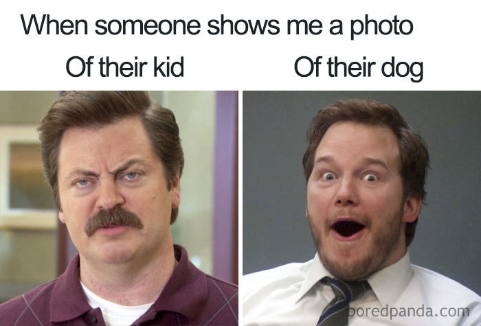 People-Dont-Want-Kids-Funny-Memes