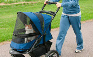 40 Memes About Being Childless In Response To People Not Accepting That This Is A Free Choice