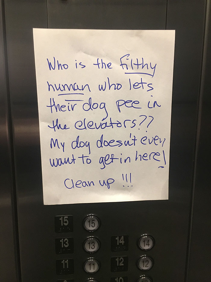Letting Your Dog Pee In The Elevators