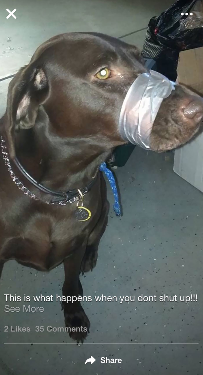 Esta chica publicó en FB cómo le cerró la boca a su perro con cinta adhesiva porque no paraba de ladrar